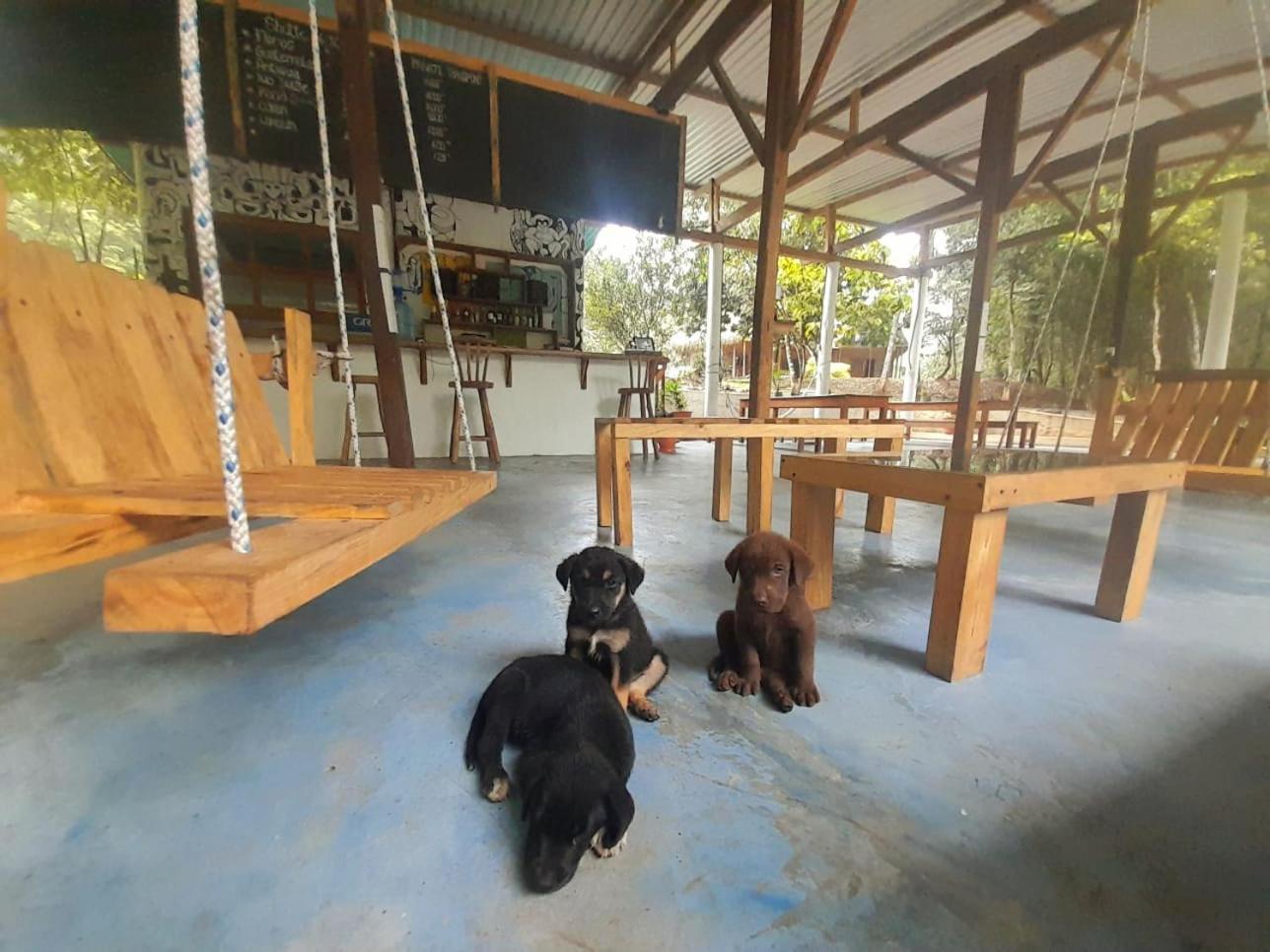 Pachamaya River Hostel Lanquín Kültér fotó